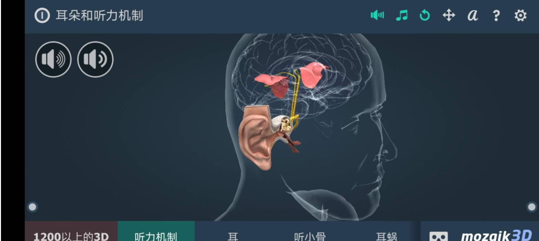 耳朵和听力机制互动教育3Dapp耳科的福利