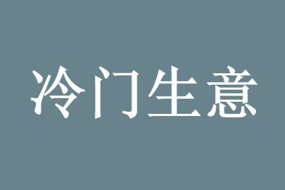 最挣钱很少人知道的新款偏门暴利赚钱项目