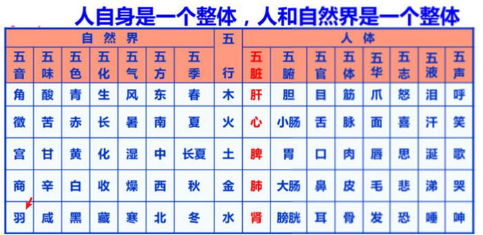 “高质量睡眠”引发是项目思考 流量 副业 网赚 经验心得 第6张